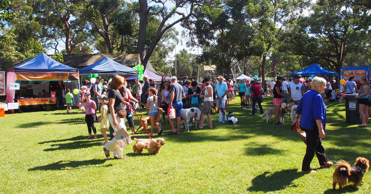 Here are 5 tips you have to know before going to a dog event near you.